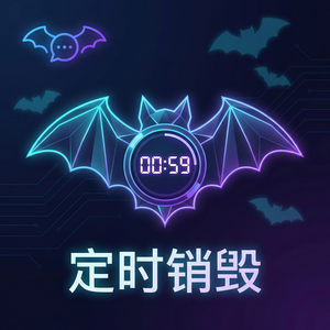 蝙蝠聊天 - 蝙蝠聊天软件IPv6支持情况说明